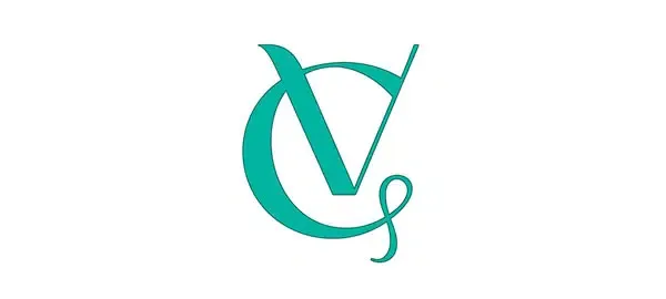 Vero Web Consulting LLC logo design