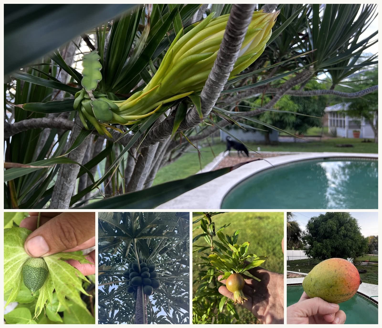 This is the first post in When to Slow Down, a nine-part summer series exploring gardening, stewardship, observation, and the lessons that quietly shape how we build our lives, our businesses, and our technology.