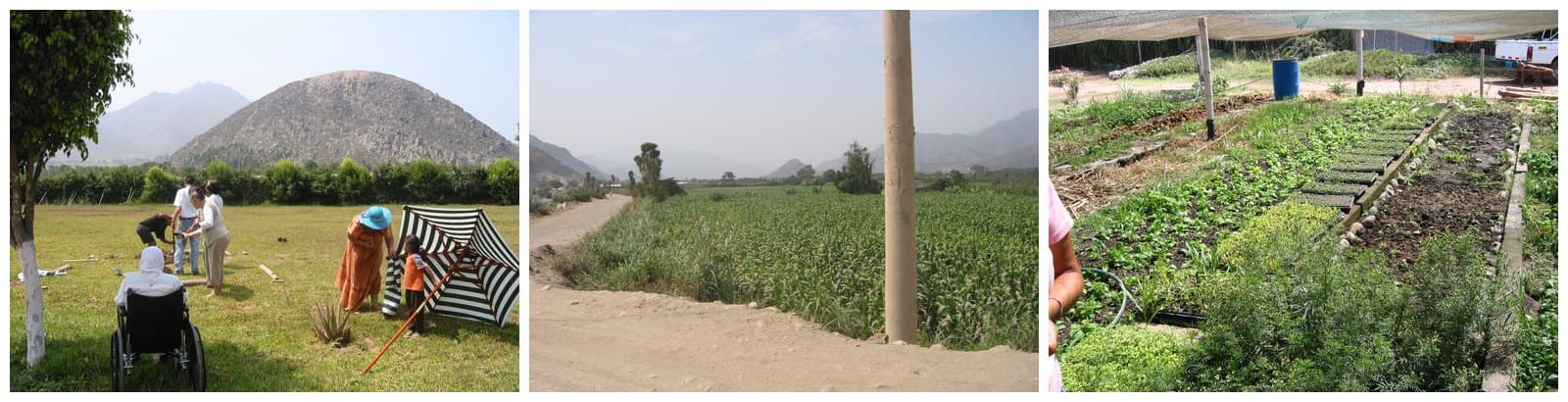 Three photographs from Peru in 2004: a field, a road through crops, and nursery beds under shade netting