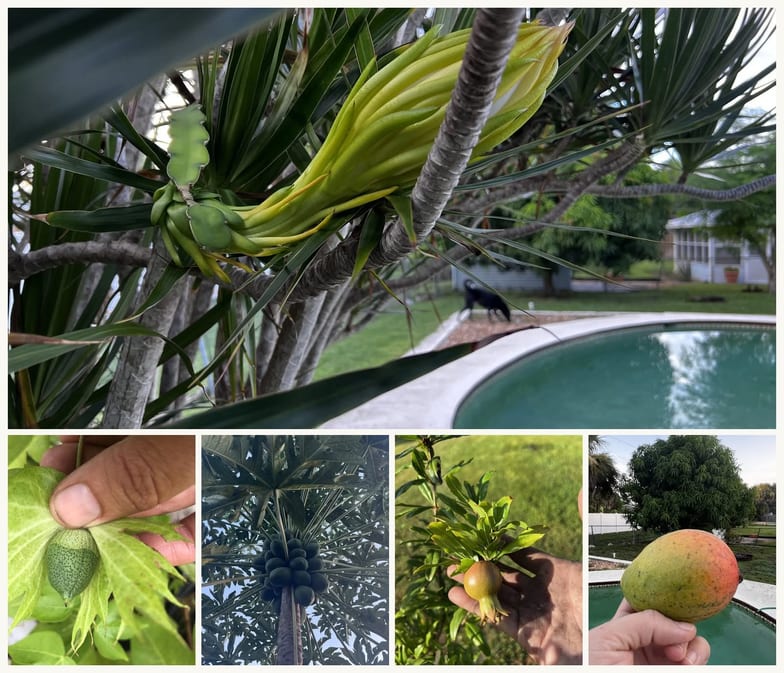 This is the first post in When to Slow Down, a nine-part summer series exploring gardening, stewardship, observation, and the lessons that quietly shape how we build our lives, our businesses, and our technology.